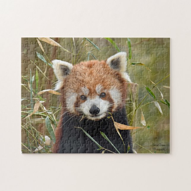 Puzzle Panda rojo  (Horizontal)