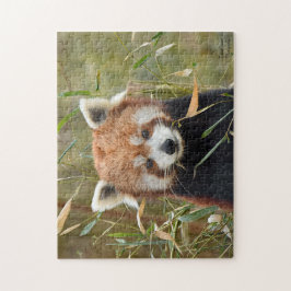 Puzzle Panda rojo 