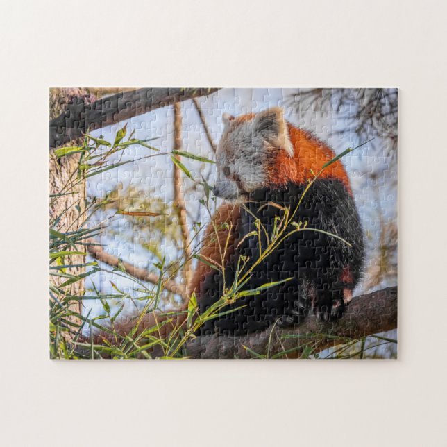 Puzzle Panda rojo (Horizontal)