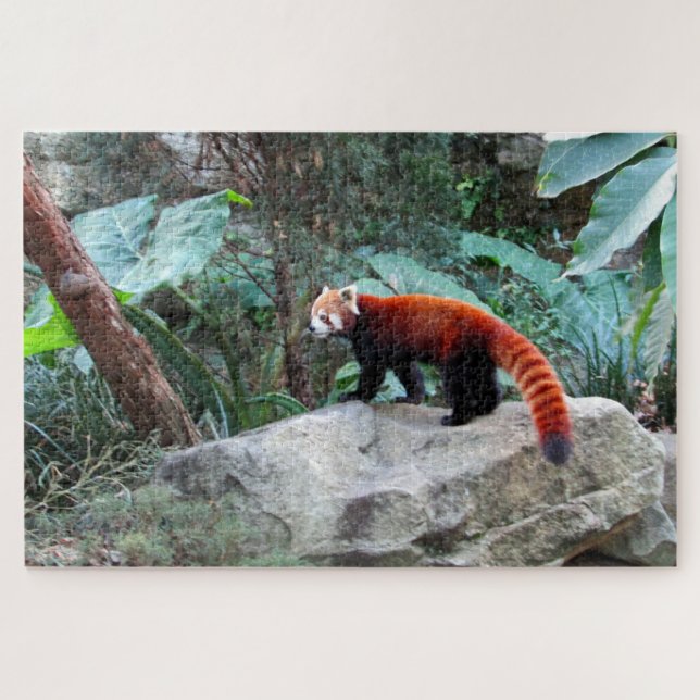 Puzzle panda rojo (Horizontal)