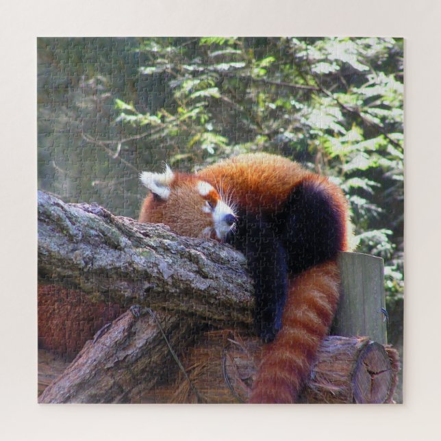 Puzzle Panda Rojo Dormido (Vertical)