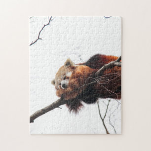 Puzzle Panda Rojo/Jigsaw