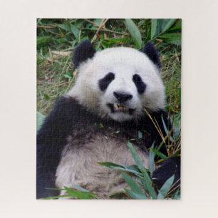 Puzzle Panda Sonríe mientras come Bamboo (rompecabezas)