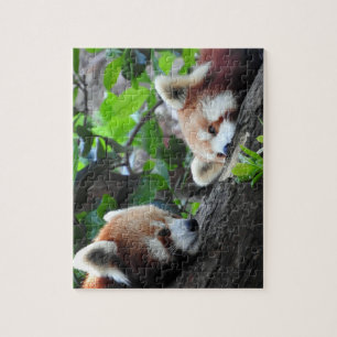 Puzzle Pandas rojas
