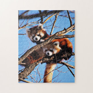 Puzzle pandas rojos
