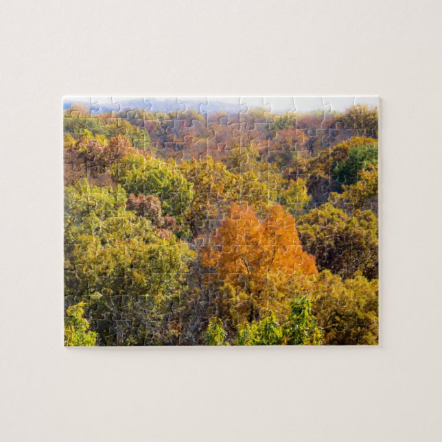 Puzzle Panorama de caída escénica (Horizontal)