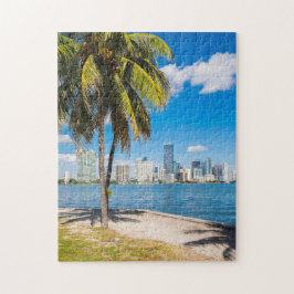 Puzzle Panorama de la ciudad de Orlando Florida