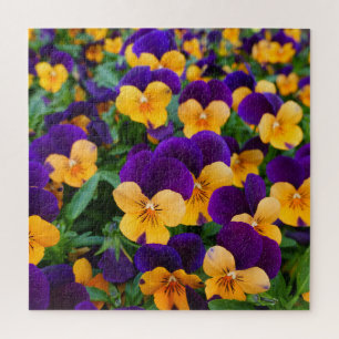 Puzzle Pansy Bloom: La Belleza Jardín de cerca.
