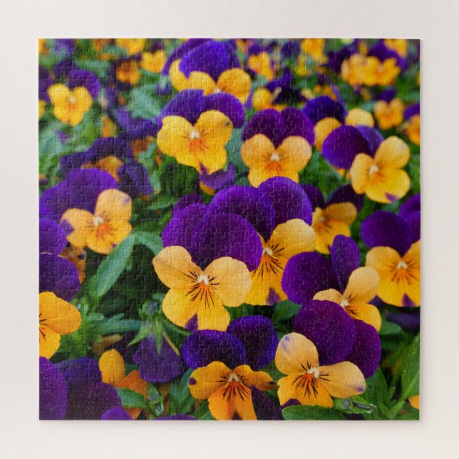 Puzzle Pansy Bloom: La Belleza Jardín de cerca. (Vertical)