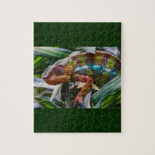 Puzzle Panther Chameleon