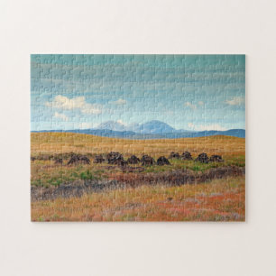 Puzzle Papas del Jura de Islay, Escocia