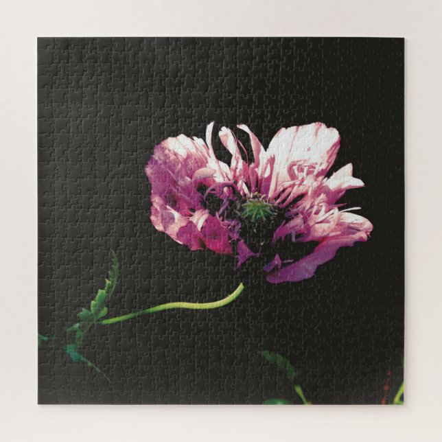 Puzzle Papaver Sugarplum (Vertical)