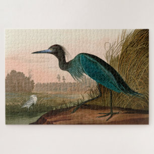 Puzzle Papel Audubon azul o garza perón en Estados Unidos
