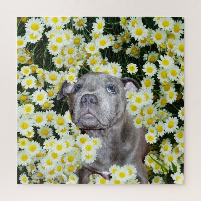 Puzzle Papicolau De Staffordshire Bull Terrier En Las Dai (Vertical)