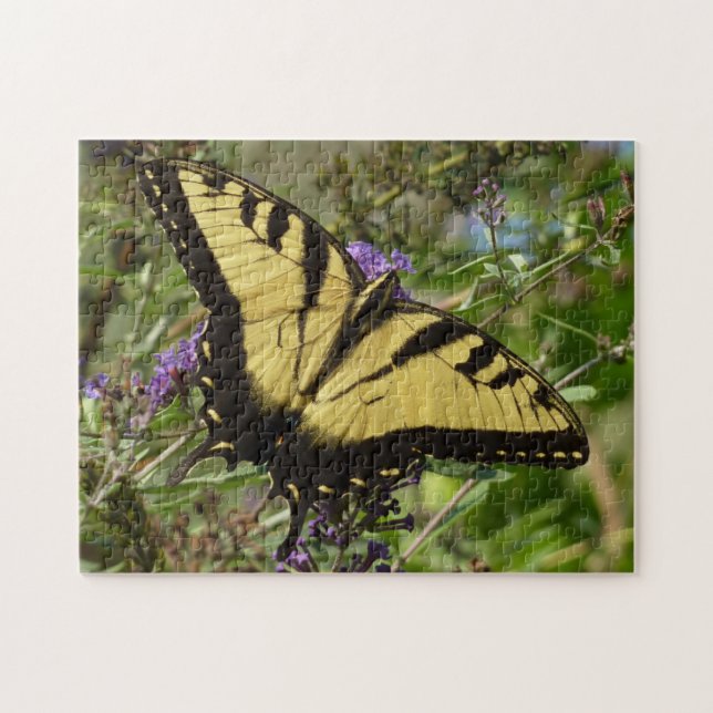 Puzzle Papilio en Buddleja (Horizontal)