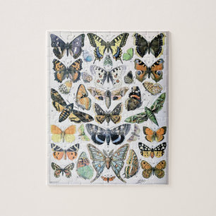 Puzzle Papillon de mariposa de época de arte de Ilustraci
