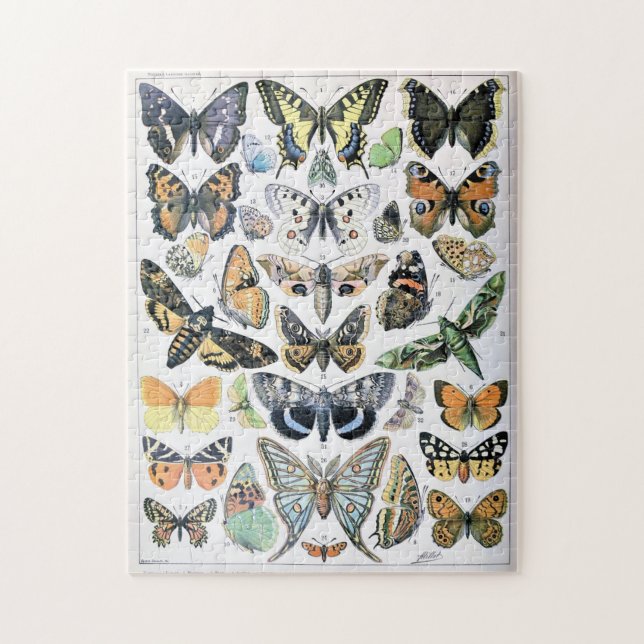 Puzzle Papillon de mariposa de época de arte de Ilustraci (Vertical)