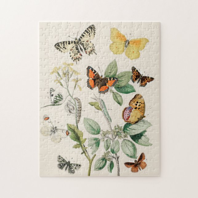 Puzzle Papillon de mariposa de época de arte de Ilustraci (Vertical)