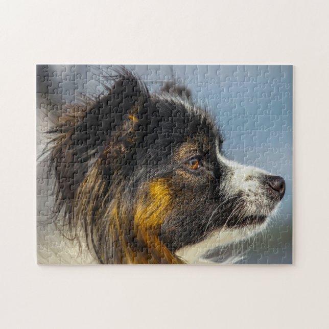 Puzzle Papillon Dog (Horizontal)