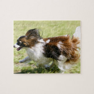 Puzzle Papillon en marcha