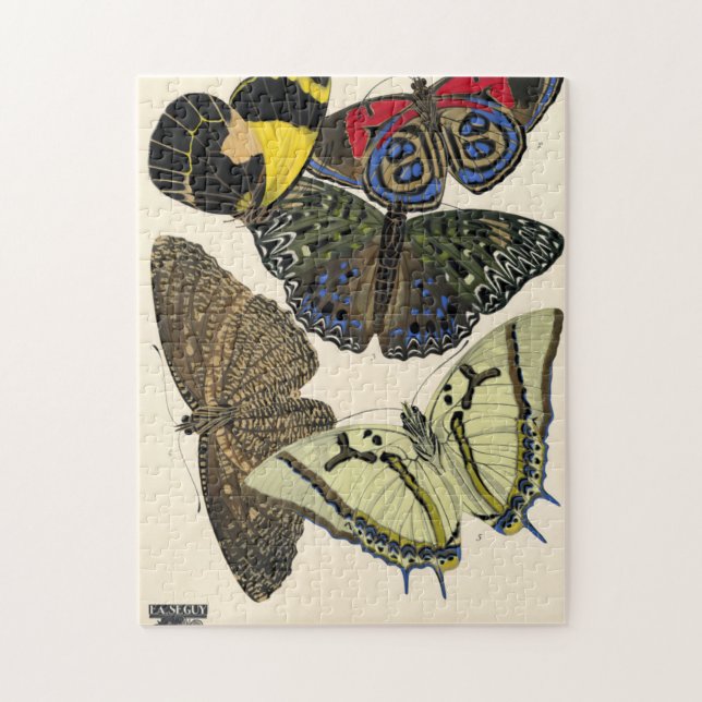 Puzzle Papillones, mariposas, placa Nº 12, por E. A. Segu (Vertical)