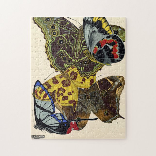Puzzle Papillones, mariposas, placa Nº 15, por E. A. Segu (Vertical)