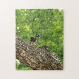 Puzzle Pappa Woodduck