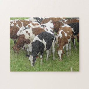 Puzzle Paquete de vacas comiendo hierba en los campos
