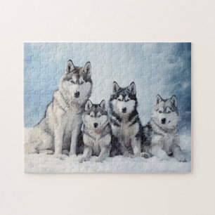 Puzzle Paquete Husky Siberian