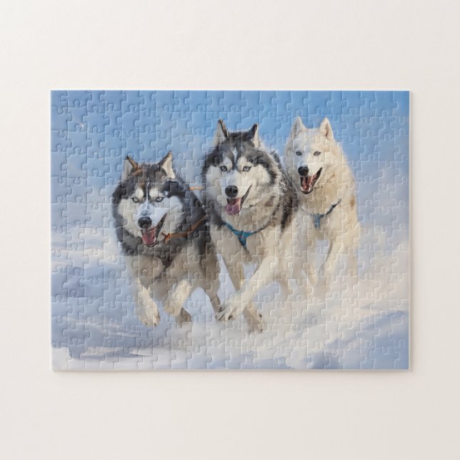 Puzzle Paquete Husky Siberiano 2 (Horizontal)