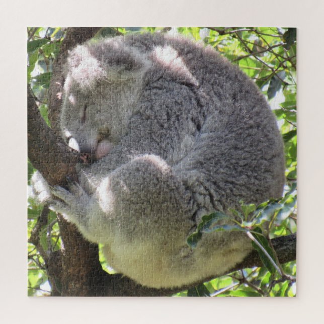 Puzzle paquete koala (Vertical)