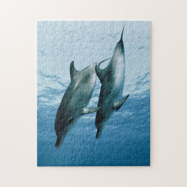 Puzzle Par de delfines (Vertical)