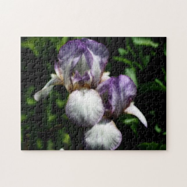 Puzzle Par De Flor De Iris Morado Y Blanco (Horizontal)