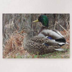 Puzzle Par de tíos mallard