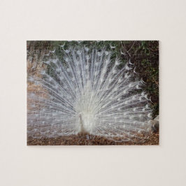 Puzzle Paradise Peacock