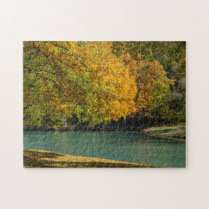 Puzzle Paraguas de Maple sobre Creek de Dogwood