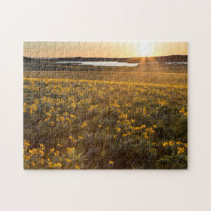 Puzzle Paraje de flores silvestres de Balsamroot de hoja 