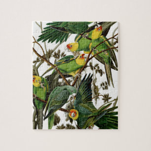 Puzzle Parakeet de Carolina