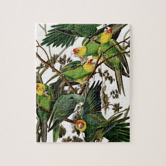 Puzzle Parakeet de Carolina (Vertical)