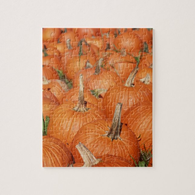 Puzzle Parche de calabaza (Vertical)
