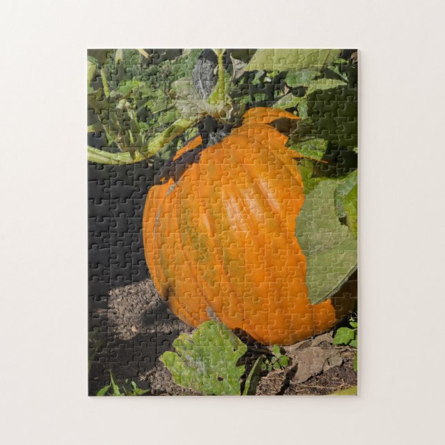Puzzle Parche de Calabazas (Vertical)