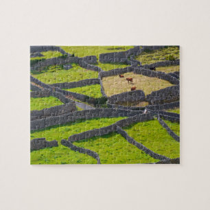 Puzzle Paredes de piedra Galway Irlanda.