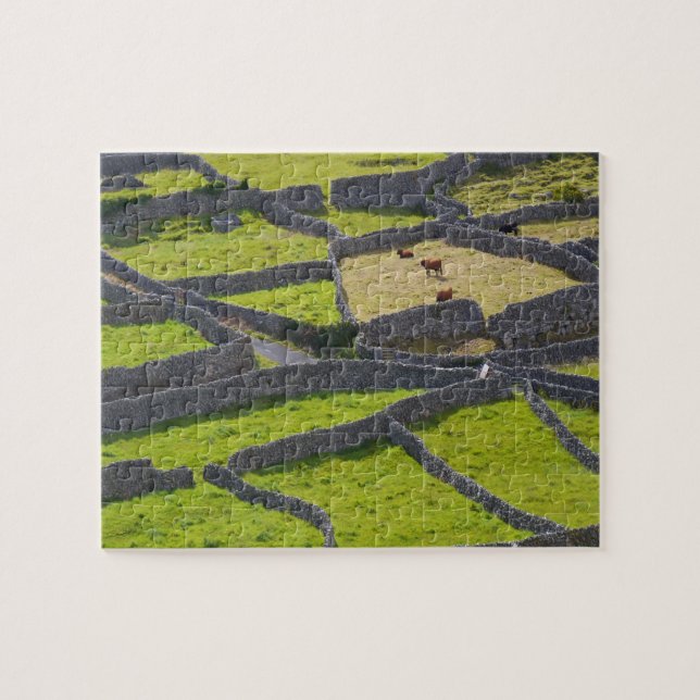 Puzzle Paredes de piedra Galway Irlanda. (Horizontal)