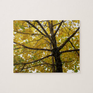 Puzzle Pareja de arce amarillo naturaleza otoñal