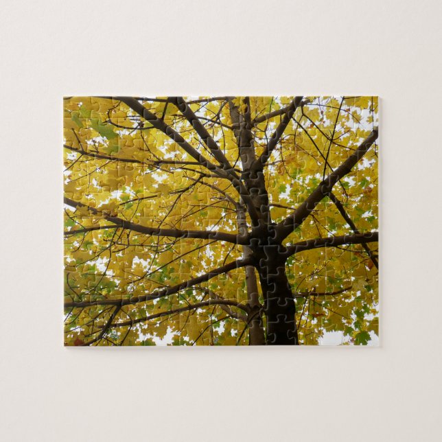 Puzzle Pareja de arce amarillo naturaleza otoñal (Horizontal)