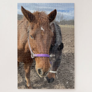 Puzzle Pareja de caballos