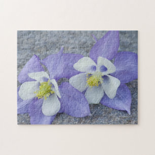 Puzzle Pareja de Flores de Columbina