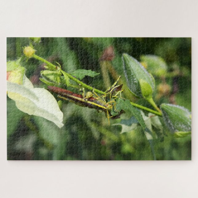 Puzzle Pareja de Grasshopper 2 (Horizontal)