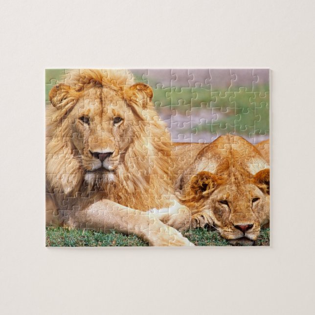 Puzzle Pareja de Leones Africanos, Panthera leo, Tanzania (Horizontal)