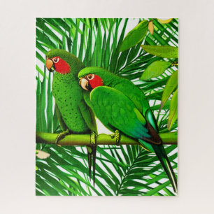 Puzzle Pareja de loro verde en un ambiente de jungla